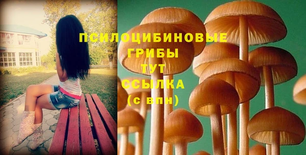 марки nbome Богданович