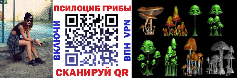 где купить наркотик  Коряжма  Псилоцибиновые грибы Cubensis 